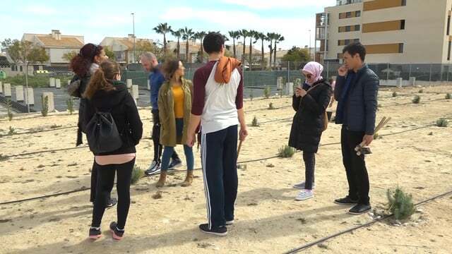 El día del árbol en El Campello logra la plantación de cerca de 800 ejemplares en Muchavista
