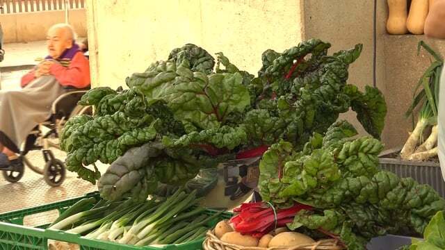 Mercat d’arrels en Sant Joan