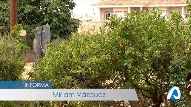 ASAJA avisa de que estas lluvias no solucionan el problema de la sequi?a