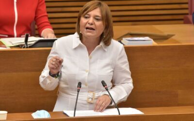Bonig no optará a la reelección a la presidencia del PP en la Comunitat