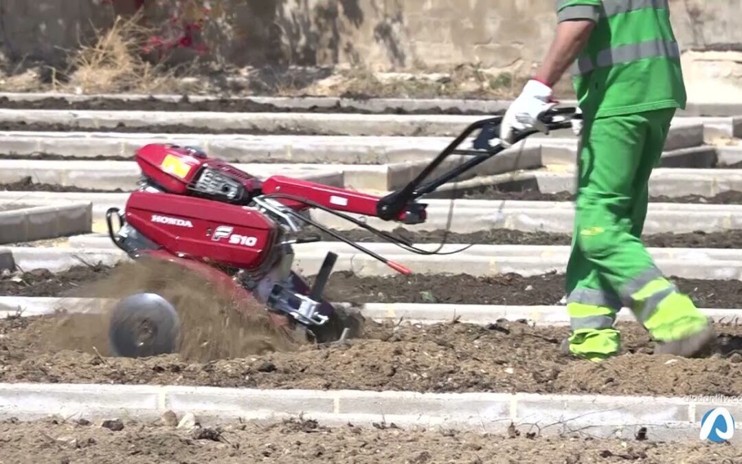 El lunes se conocerán los ganadores de las plazas del huerto urbano La Almadraba