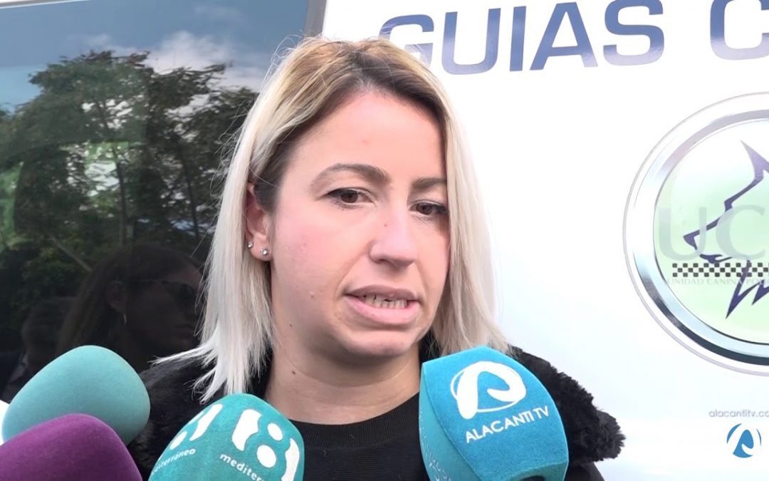 Rescatados 60 perros de un piso en Alicante