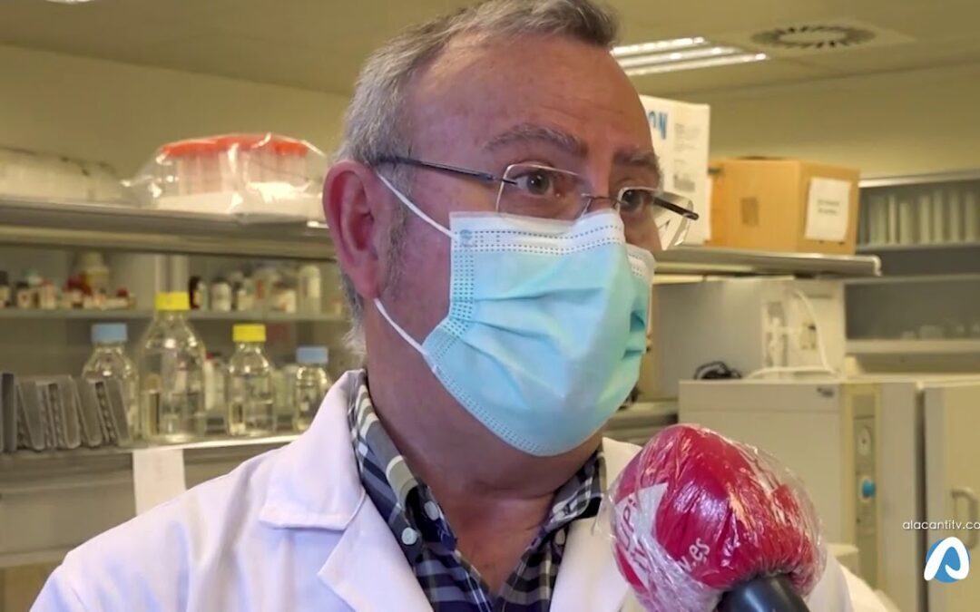 La UPV desarrolla un nuevo test de inmunidad frente al covid