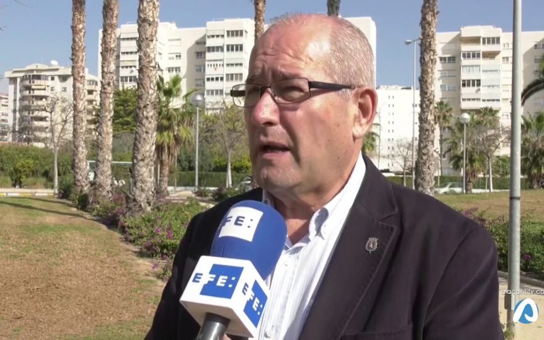 Un hombre aparca un coche en el Ayuntamiento de Alicante