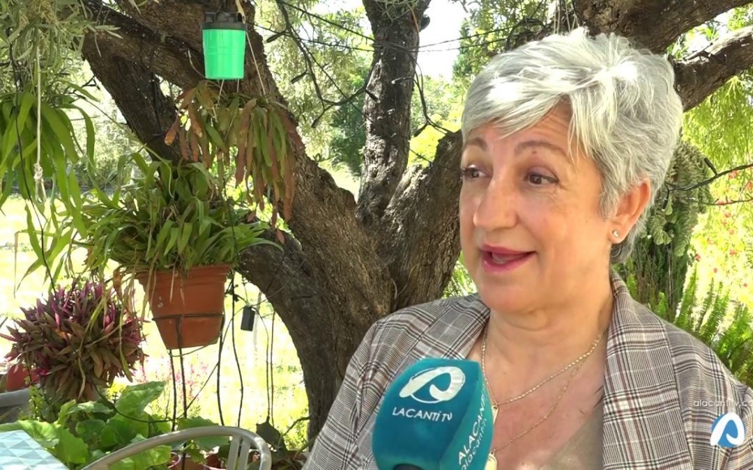 Elecciones 26 mayo. Participación