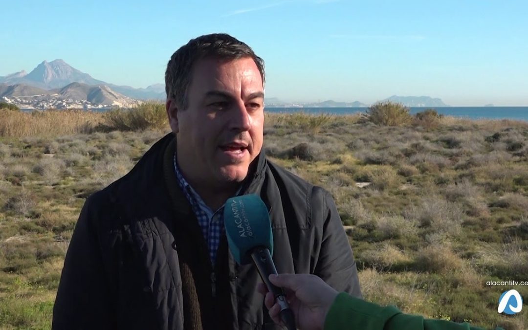El Campello va a desbrozar el cañizo del río seco