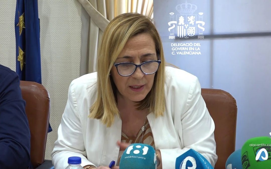Dispositivo Seguridad Hogueras 2019