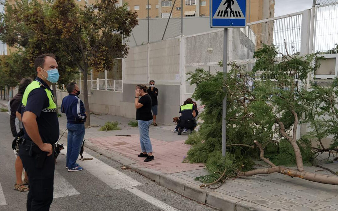 Policía y Bomberos atienden medio centenar de emergencias por el viento