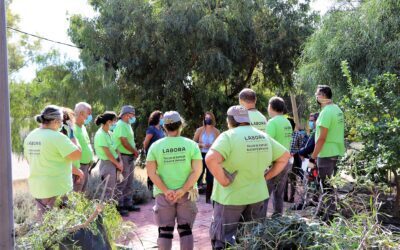 El Ayuntamiento ofrece formación remunerada a 30 parados de larga duración