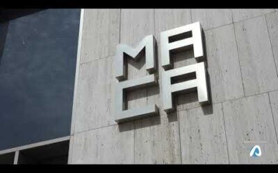 Alacantí TV te propone varios planes para las noches de verano