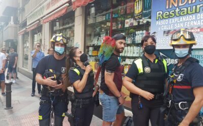 Los bomberos realizan un peculiar rescate de un guacamayo en una cornisa