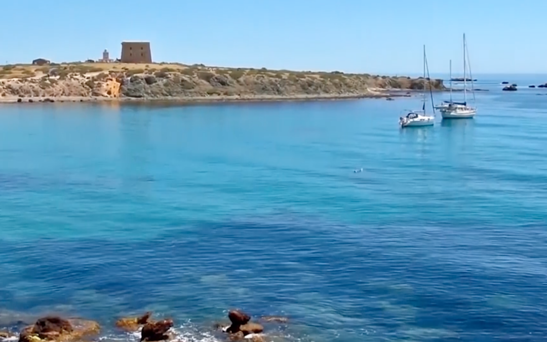 Alicante adjudica la pasarela de la Albufereta y licita la mejora paisajística de Tabarca