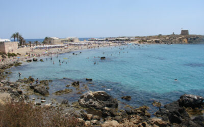 Medio Ambiente invierte en mejorar el paisaje de cuatro zonas de la ciudad