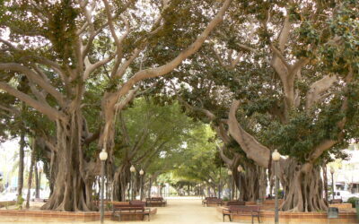 El parque de Canalejas será regado con caudal de la depuradora Rincón de León