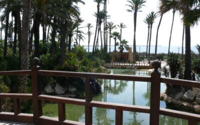 El Ayuntamiento preadjudica la renovación de El Palmeral por 362.000 €