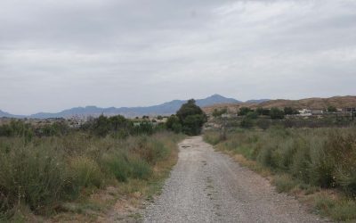 Inversión de 1,7 millones de euros para reparar los caminos de las Partidas Rurales
