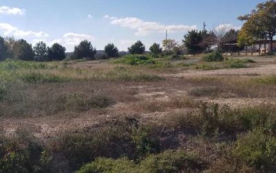 El circuito biosaludable de La Alcoraya tendrá sendas, jardines y juegos infantiles