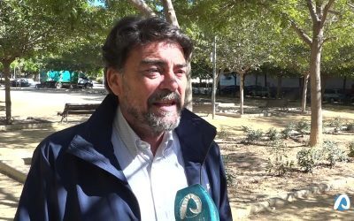 Los trabajos de mantenimiento lavan la cara a los parques del barrio del Pla