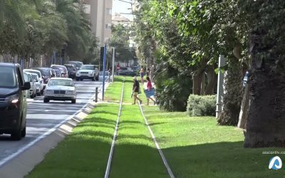 Autorizado el proyecto para adecuar dos zonas verdes en la Avenida Costa Blanca
