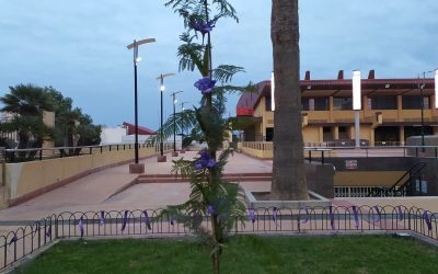 Una jacaranda por las víctimas de violencia machista en El Campello