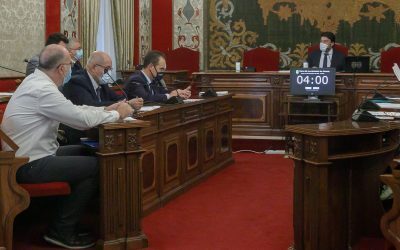 El Pleno pide al Gobierno que ejecute el Parque Central con cargo a los fondos europeos