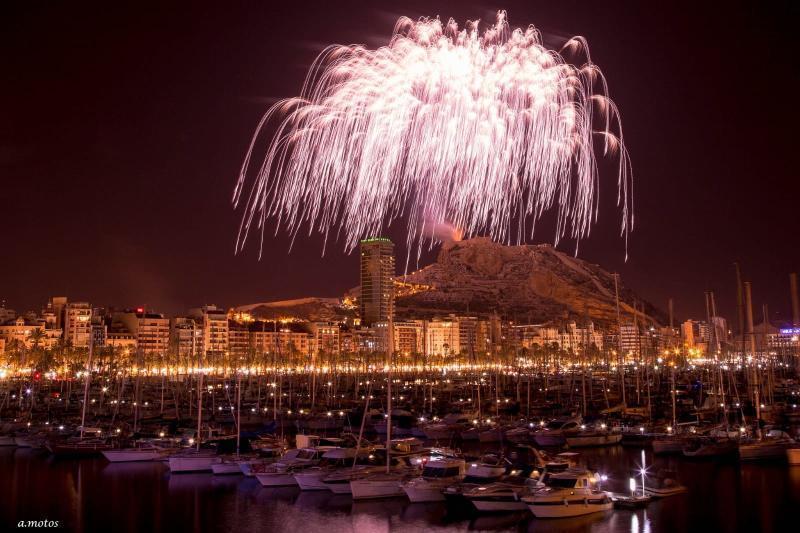 Alicante recupera la palmera el 6 de diciembre y disparará un castillo de fuegos el 1 de enero