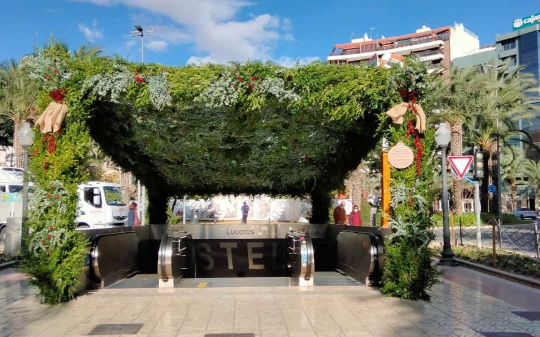 Nueva decoración vegetal para los accesos a Luceros, la Explanada y el Ayuntamiento