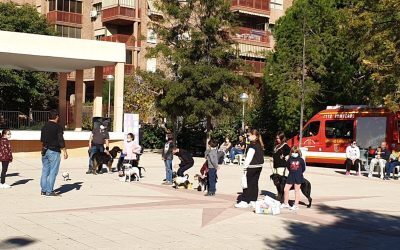 Protección Animal valora repetir cada año el Encuentro entre familias y mascotas