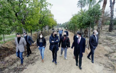Alicante recibirá la primavera con más de 1.500 nuevos árboles en la ciudad