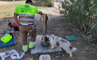 El Ayuntamiento repara cinco parques de mascotas y adaptará otro en Cabo Huertas