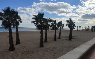Los oasis de Carrer La Mar de El Campello lucen en toda su plenitud