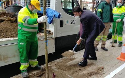 El Ayuntamiento plantará un millar de árboles en la ciudad hasta febrero