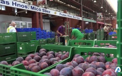 Los precios de los alimentos suben más de un 8% a dos semanas de Navidad