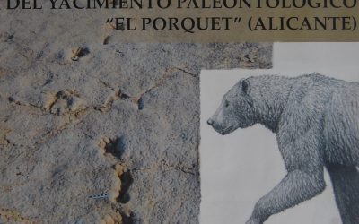 Los restos paleontológicos y la base de una torre del siglo XVI, propuestos para ruta medioambiental