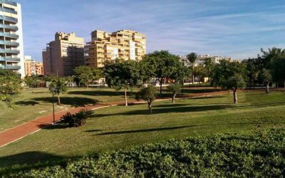 Reabierto el Parque Municipal de El Campello tras fuertes rachas de viento