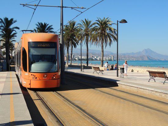 TRAM y bus interurbano gratis hasta final de junio