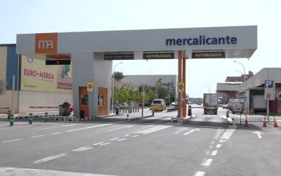  Actividades familiares por la II Jornada de Alimentación Saludable