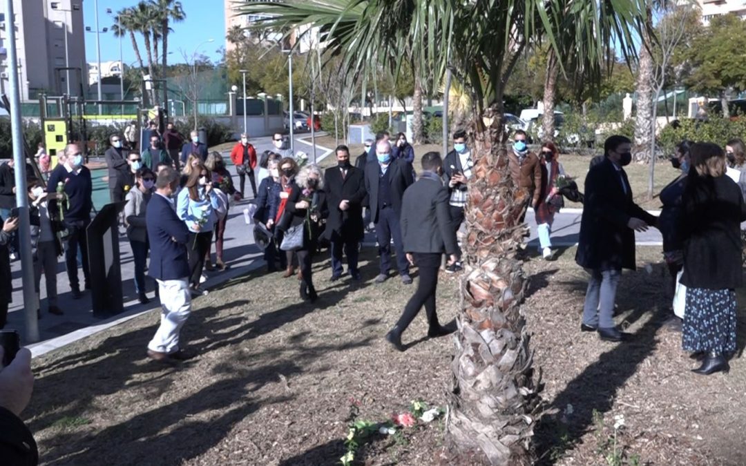 Una palmera en la playa de San Juan recuerda la muerte gestacional