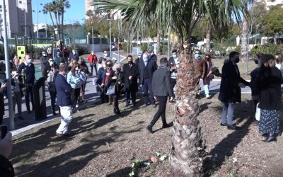 Una palmera en la playa de San Juan recuerda la muerte gestacional