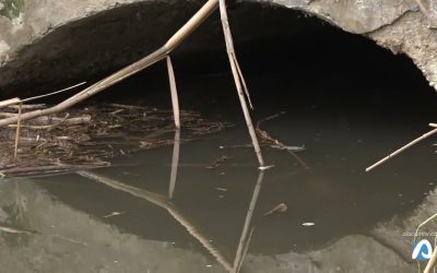 El Campello aguarda el plan de alcantarillado para acabar con los vertidos en sus calas