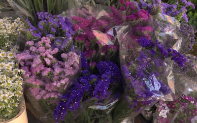 El Campello lanza una campaña de apoyo al comercio local por San Valentín