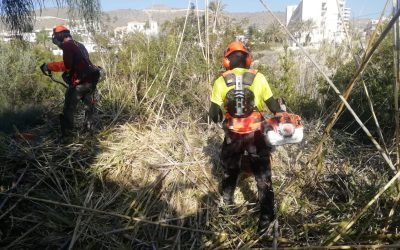 El Campello inicia los trabajos de desbroce y limpieza del Barranco de la Solana