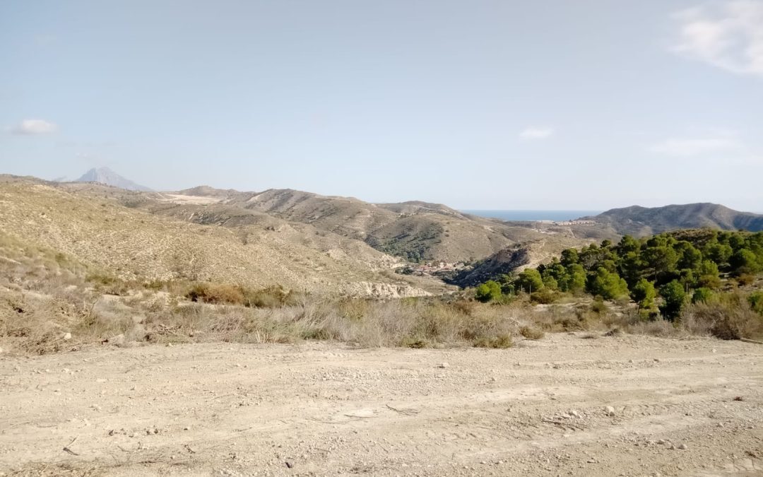 Amplia programación de talleres familiares para el Día del Árbol de El Campello