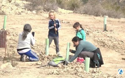 El Campello planta 400 ejemplares en la Partida de Coca por el Día del Árbol