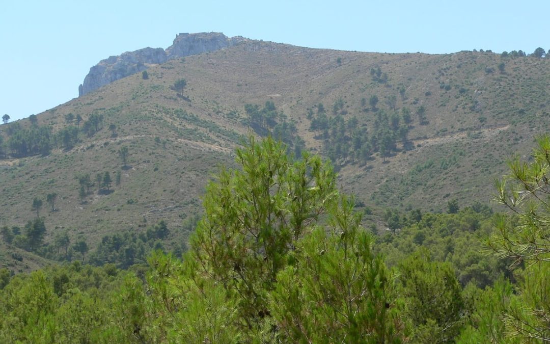 La Diputación aumenta un 60% las ayudas para prevenir incendios forestales