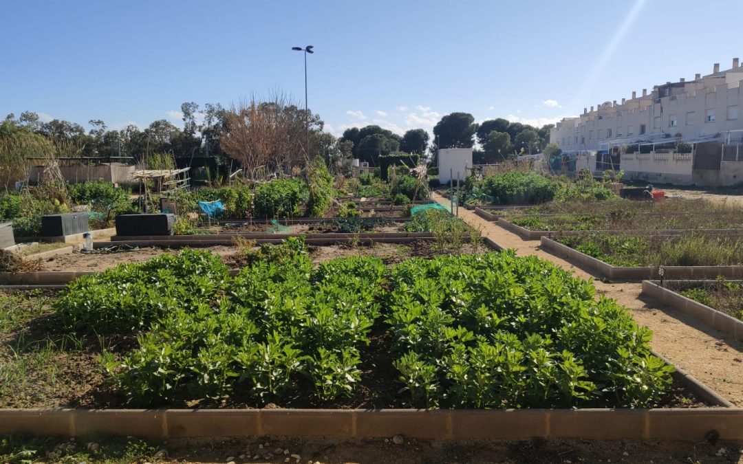 Abierto el plazo para participar en el sorteo de parcelas del huerto urbano La Almadraba