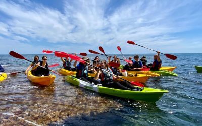 Turismo promociona Costa Blanca con los estudiantes extranjeros en la provincia