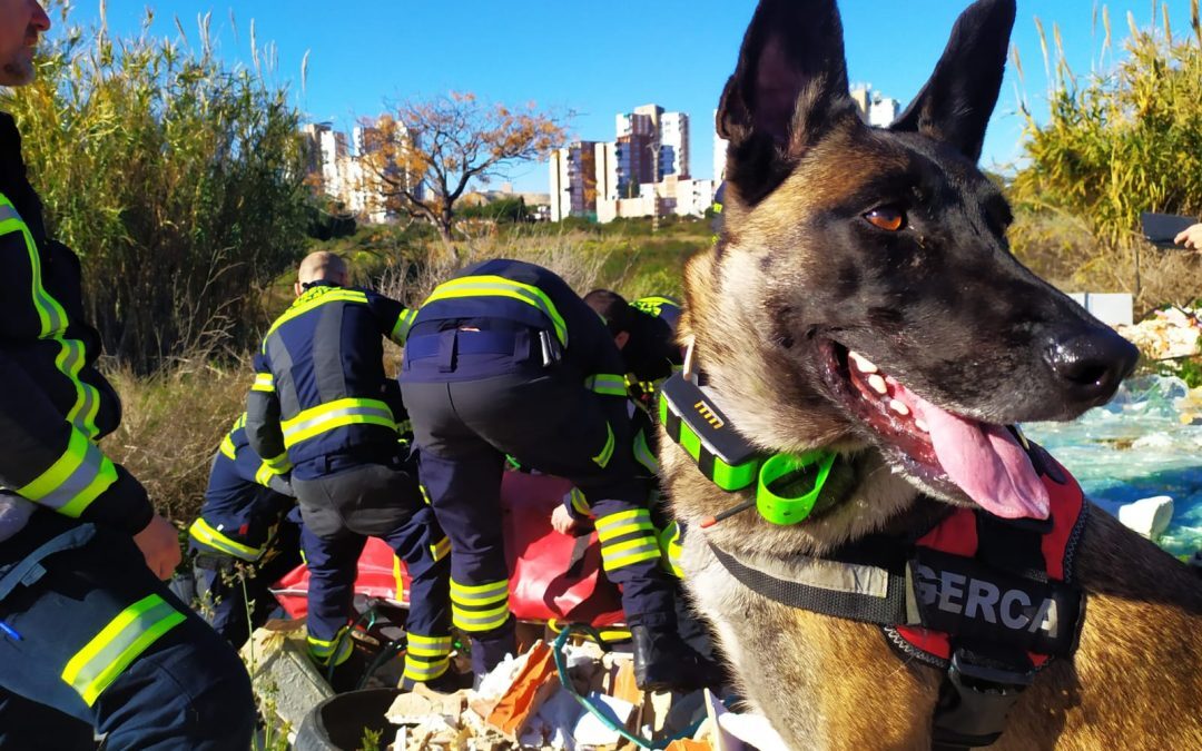 Emotivo homenaje del SPEIS a Piba a por su excepcional trabajo en la Unidad Canina