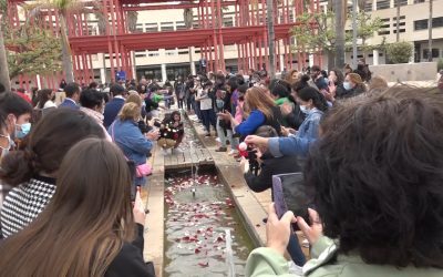 La Universidad de Alicante homenajea al pueblo gitano por su día internacional