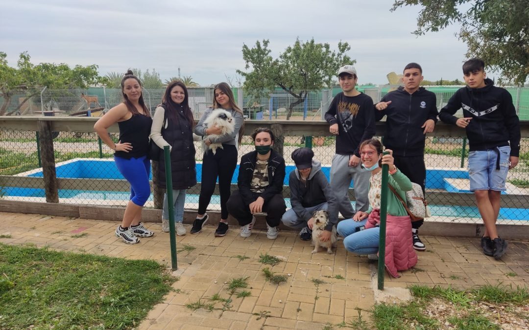 Jornada con mascotas del voluntariado social y los jóvenes del programa JOOP